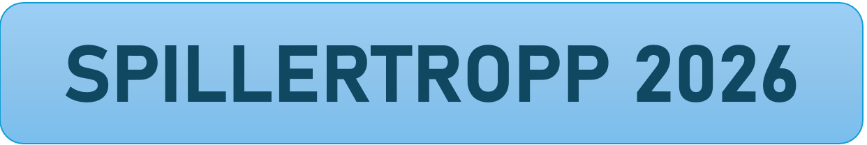 Custom image